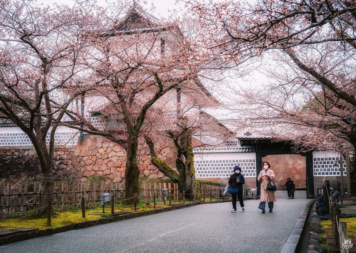 How to Visit Kanazawa Castle Park: A 2026 Guide