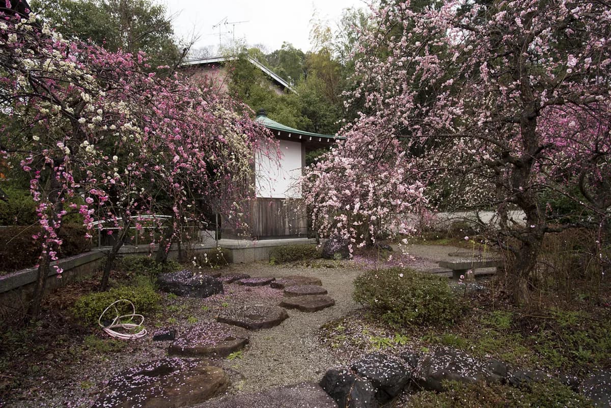 Kyoto